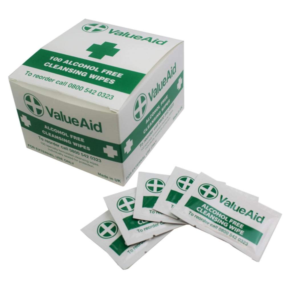 Alcohol Free Moist Large Wipes - 100 Wipes