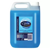Carex Liquid Hand Soap Refill Antibacterial Professional Original 5L - Wholesale Bulk Order